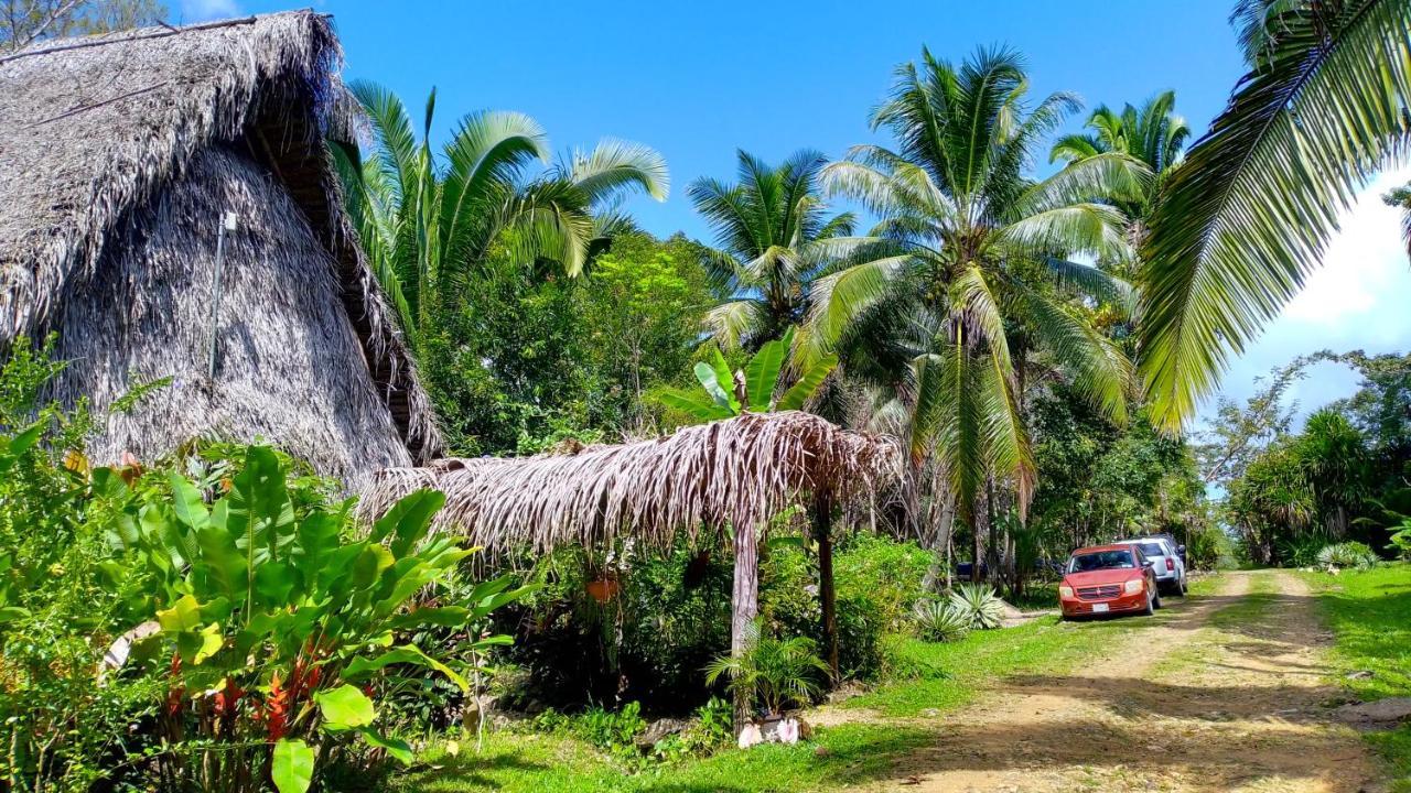 Sun Creek Lodge Punta Gorda Ngoại thất bức ảnh