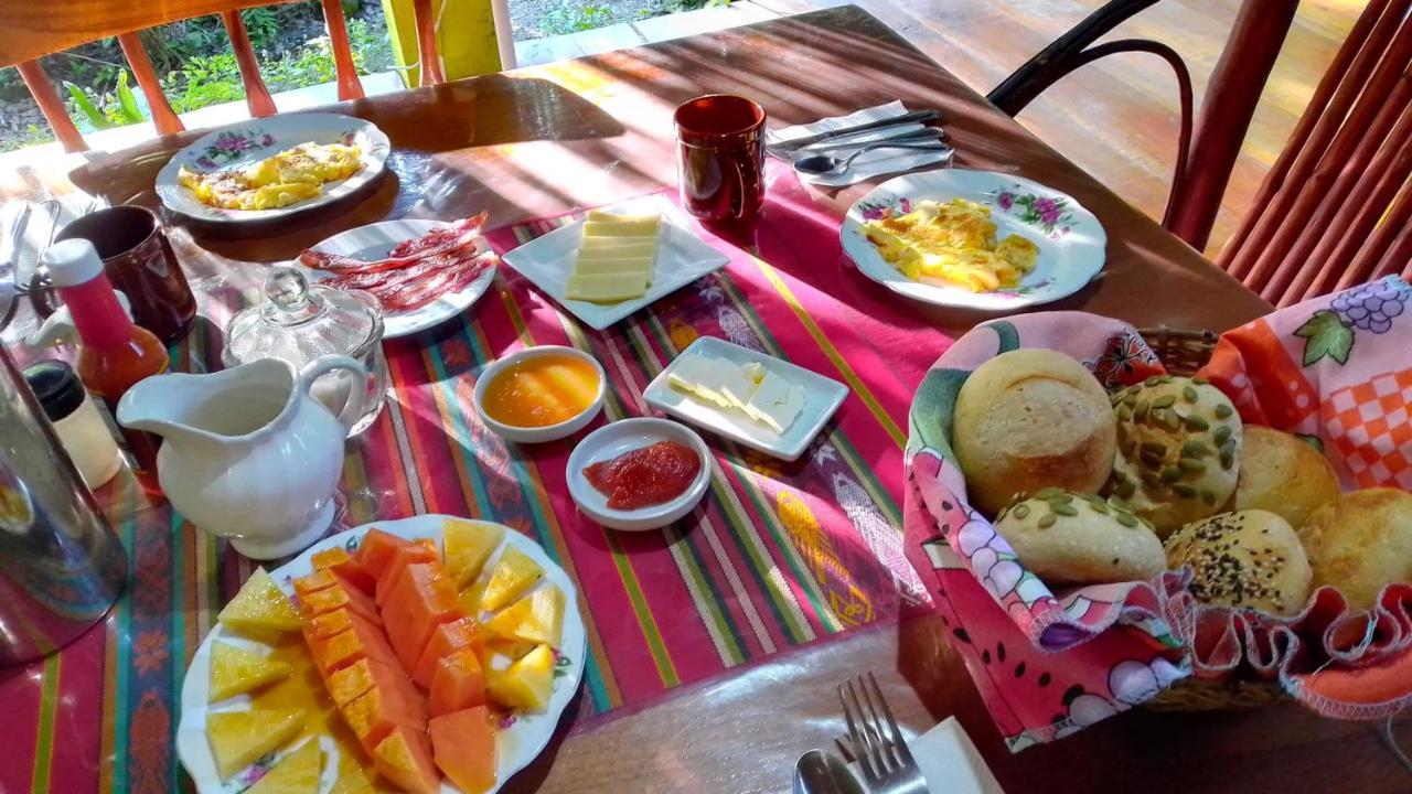 Sun Creek Lodge Punta Gorda Ngoại thất bức ảnh