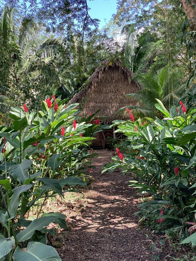 Sun Creek Lodge Punta Gorda Ngoại thất bức ảnh