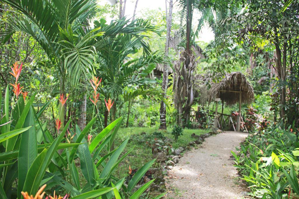 Sun Creek Lodge Punta Gorda Ngoại thất bức ảnh