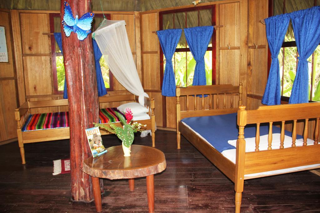 Sun Creek Lodge Punta Gorda Phòng bức ảnh
