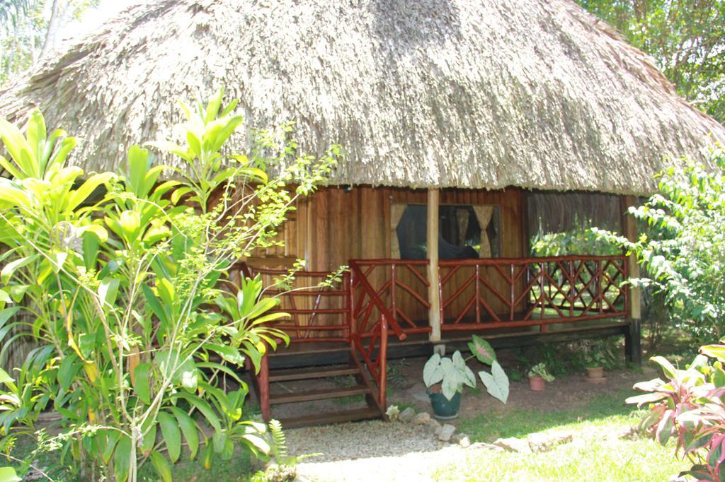 Sun Creek Lodge Punta Gorda Ngoại thất bức ảnh