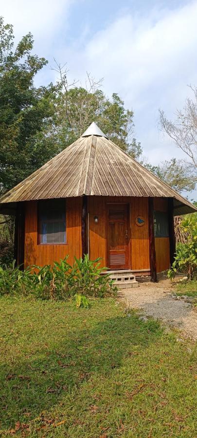 Sun Creek Lodge Punta Gorda Ngoại thất bức ảnh