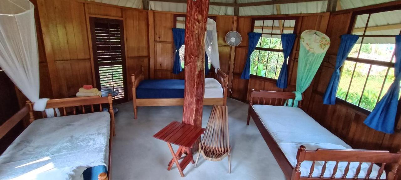 Sun Creek Lodge Punta Gorda Ngoại thất bức ảnh