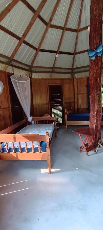 Sun Creek Lodge Punta Gorda Ngoại thất bức ảnh