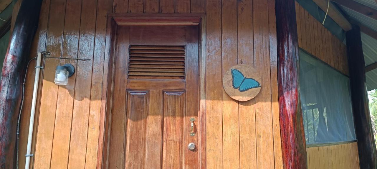 Sun Creek Lodge Punta Gorda Ngoại thất bức ảnh