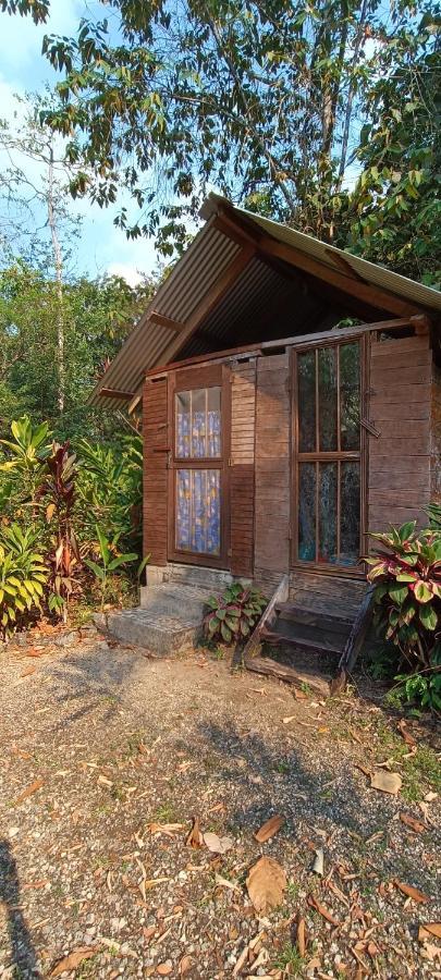 Sun Creek Lodge Punta Gorda Ngoại thất bức ảnh