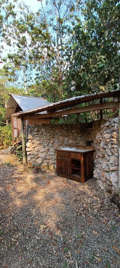 Sun Creek Lodge Punta Gorda Ngoại thất bức ảnh