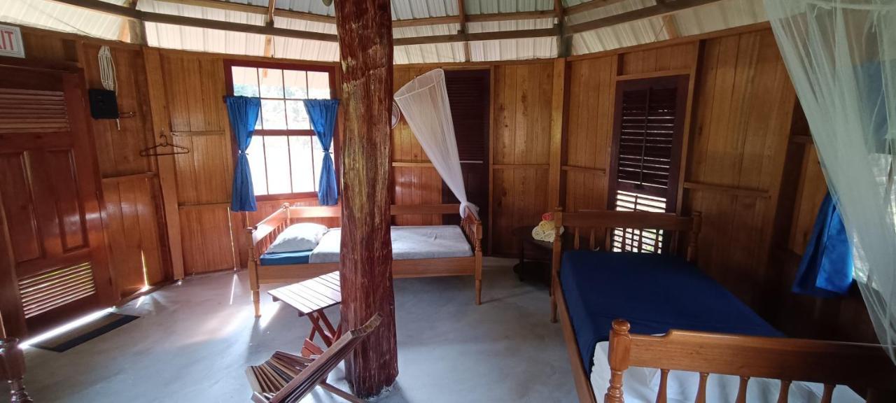 Sun Creek Lodge Punta Gorda Ngoại thất bức ảnh