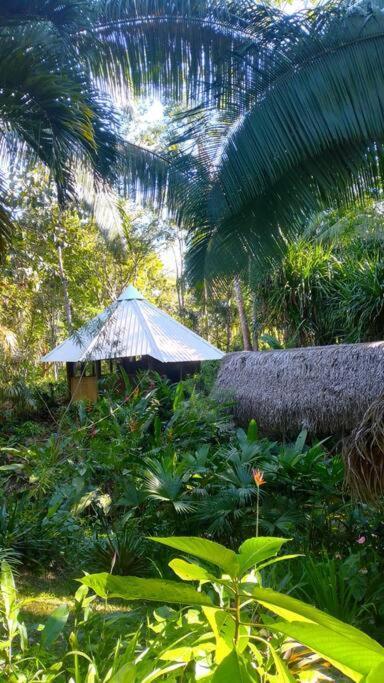 Sun Creek Lodge Punta Gorda Ngoại thất bức ảnh