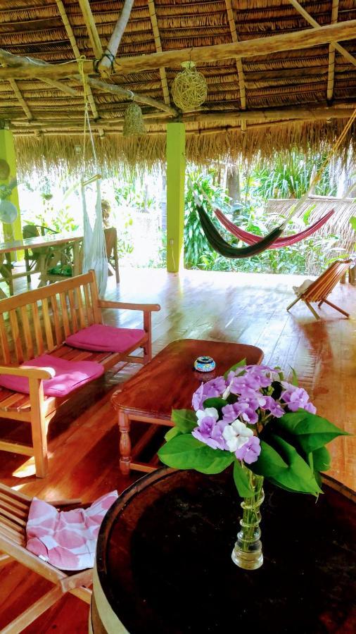 Sun Creek Lodge Punta Gorda Ngoại thất bức ảnh