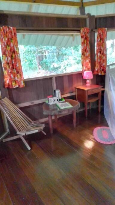 Sun Creek Lodge Punta Gorda Ngoại thất bức ảnh