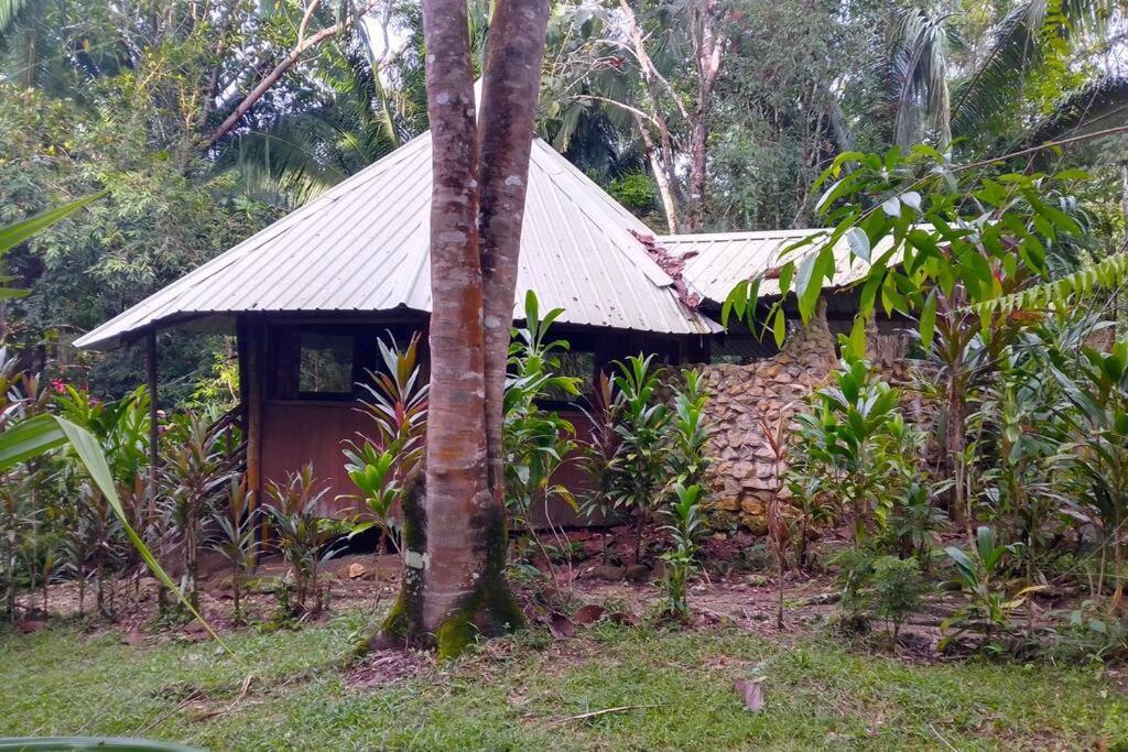 Sun Creek Lodge Punta Gorda Ngoại thất bức ảnh