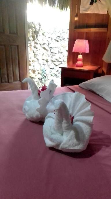Sun Creek Lodge Punta Gorda Ngoại thất bức ảnh