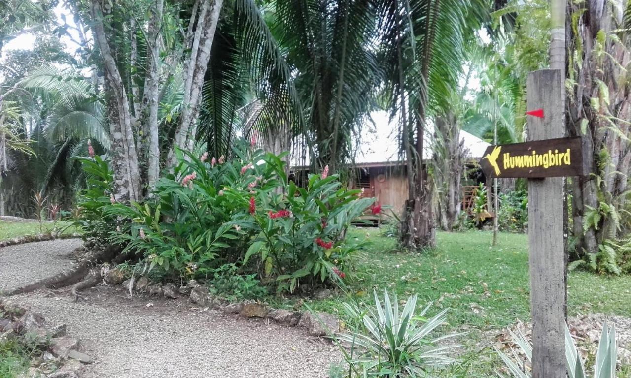 Sun Creek Lodge Punta Gorda Ngoại thất bức ảnh