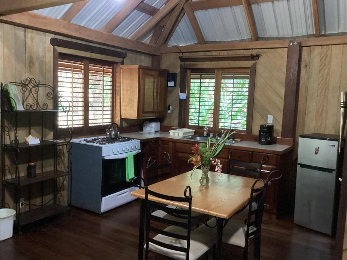 Sun Creek Lodge Punta Gorda Ngoại thất bức ảnh