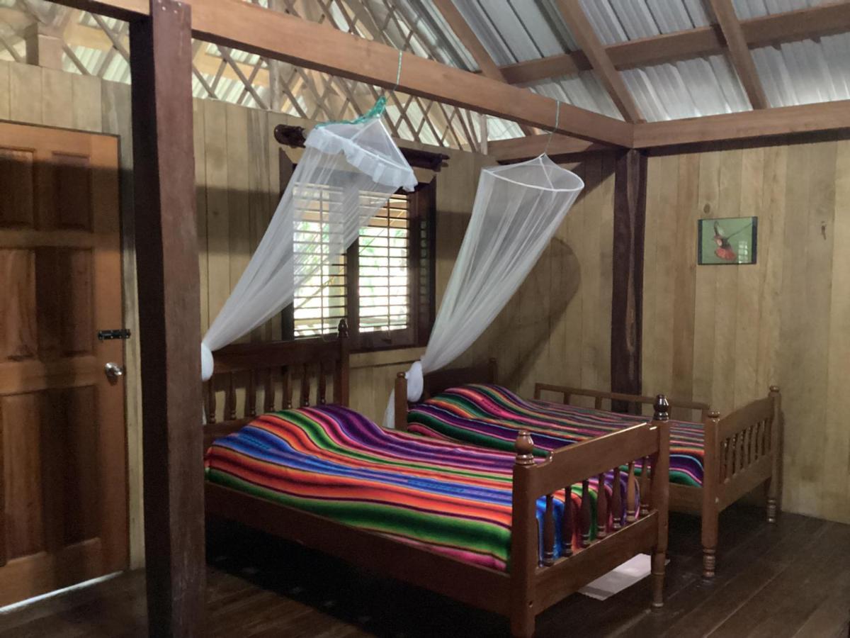 Sun Creek Lodge Punta Gorda Ngoại thất bức ảnh