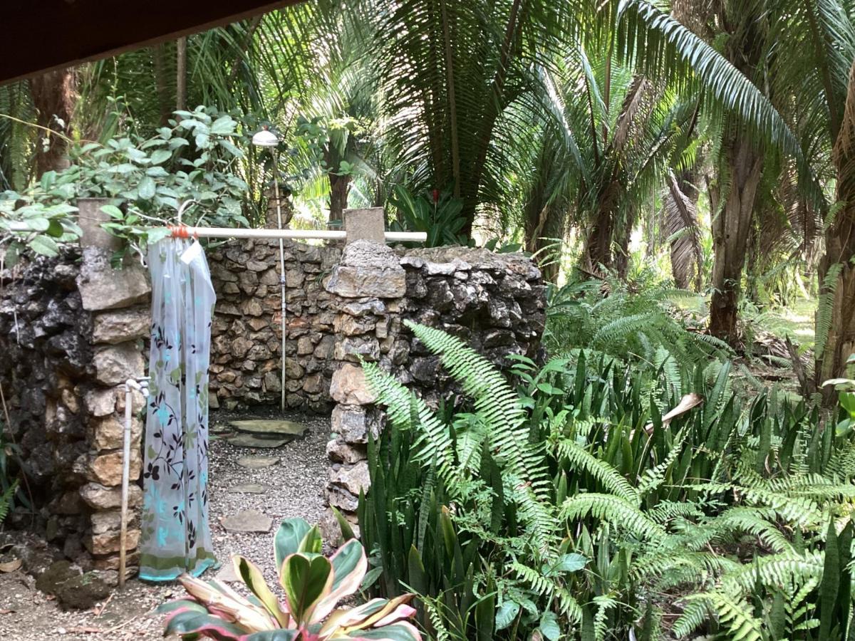 Sun Creek Lodge Punta Gorda Ngoại thất bức ảnh