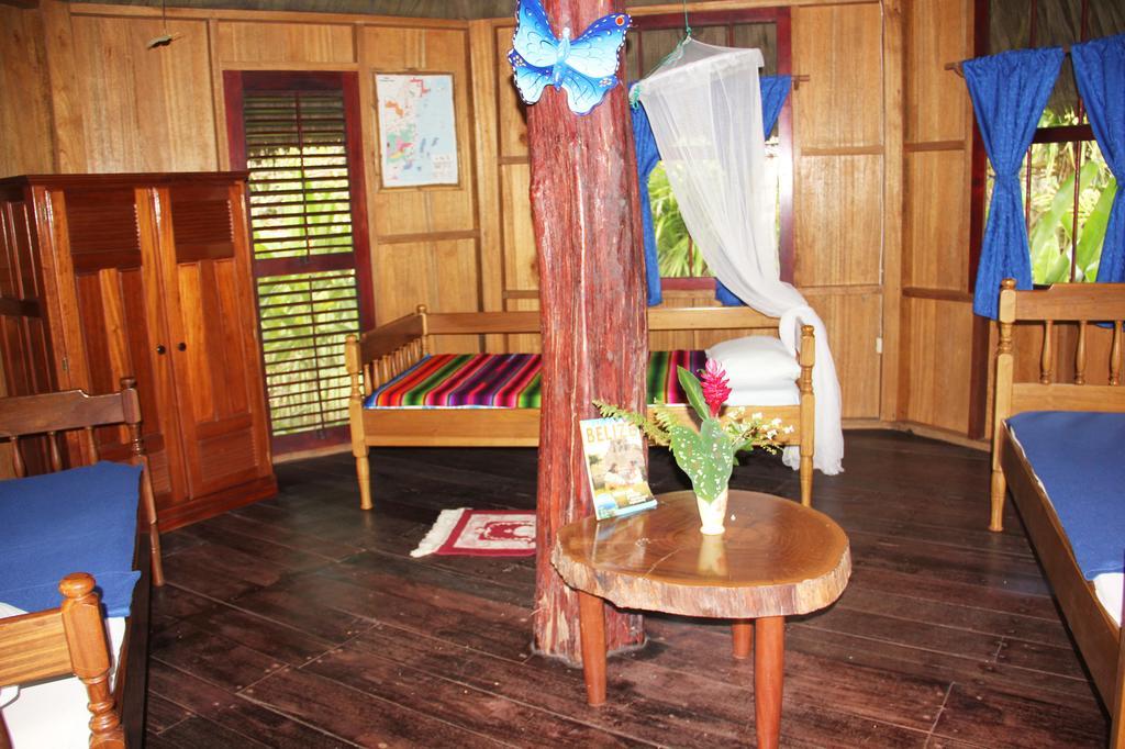 Sun Creek Lodge Punta Gorda Phòng bức ảnh
