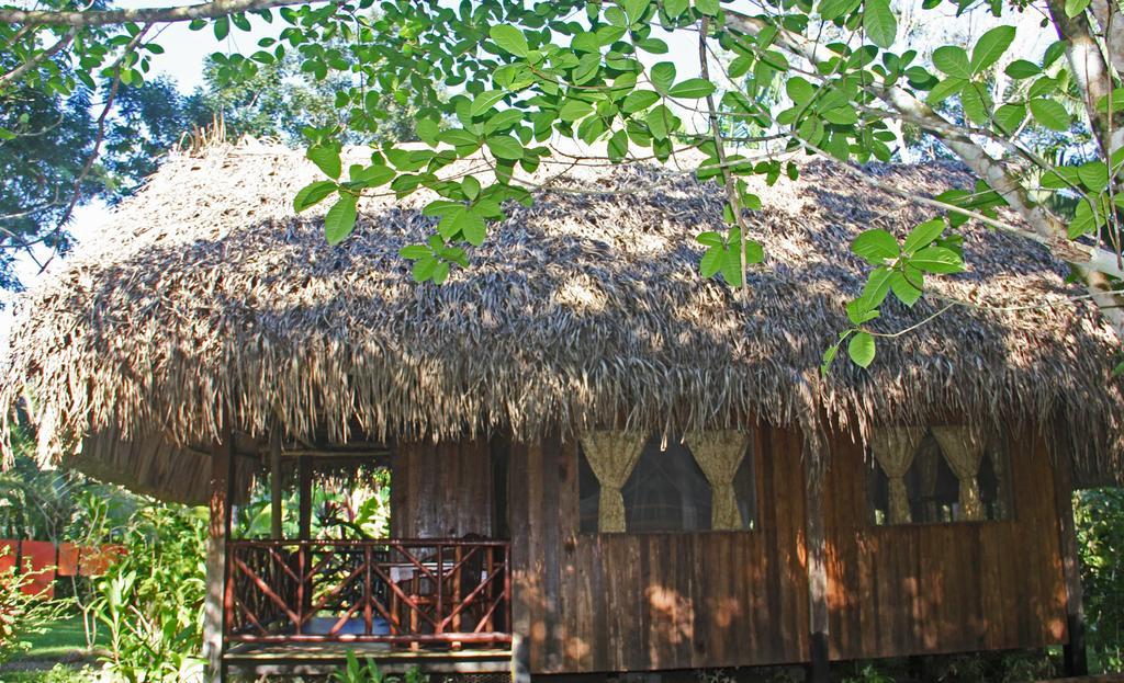 Sun Creek Lodge Punta Gorda Phòng bức ảnh
