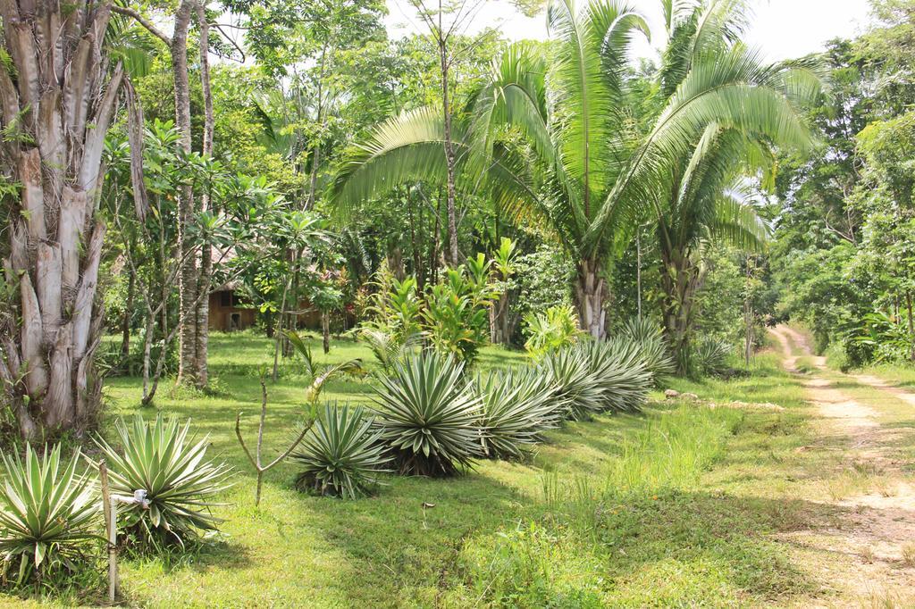 Sun Creek Lodge Punta Gorda Ngoại thất bức ảnh