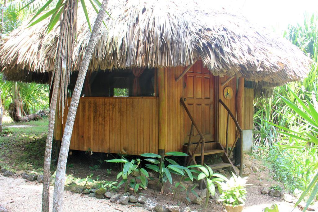 Sun Creek Lodge Punta Gorda Ngoại thất bức ảnh