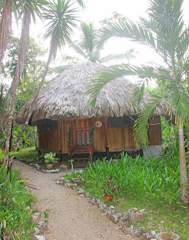 Sun Creek Lodge Punta Gorda Ngoại thất bức ảnh