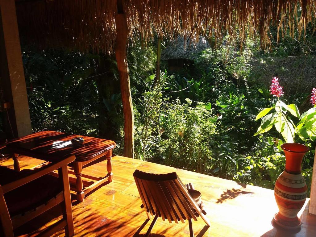 Sun Creek Lodge Punta Gorda Ngoại thất bức ảnh