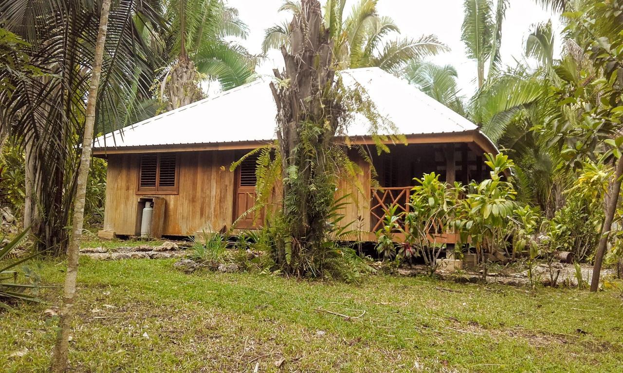 Sun Creek Lodge Punta Gorda Ngoại thất bức ảnh