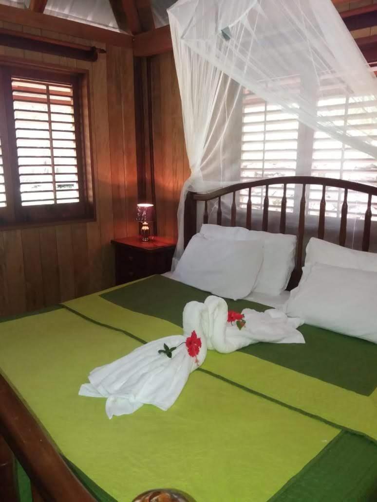 Sun Creek Lodge Punta Gorda Ngoại thất bức ảnh