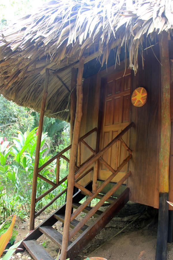 Sun Creek Lodge Punta Gorda Ngoại thất bức ảnh