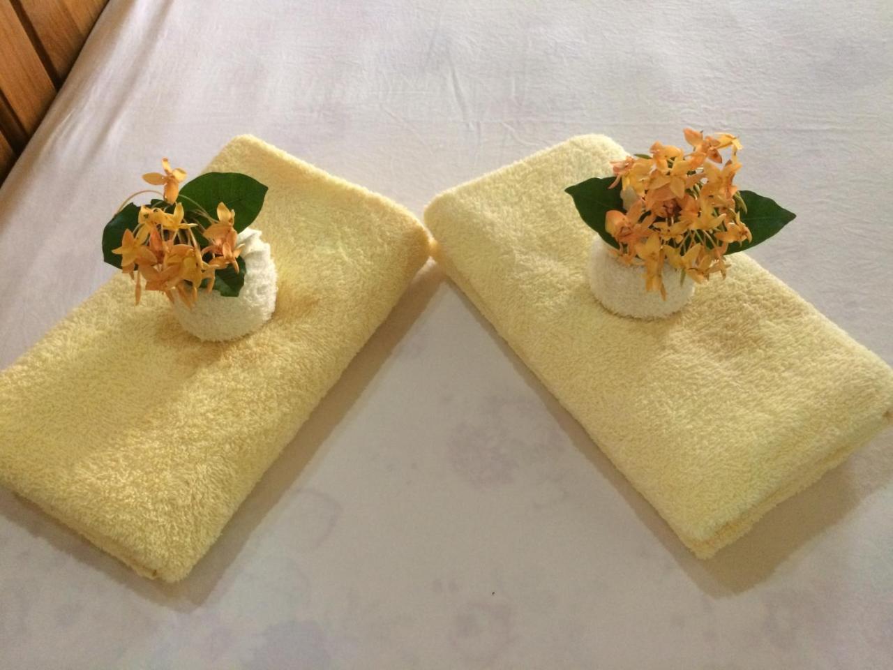 Sun Creek Lodge Punta Gorda Ngoại thất bức ảnh