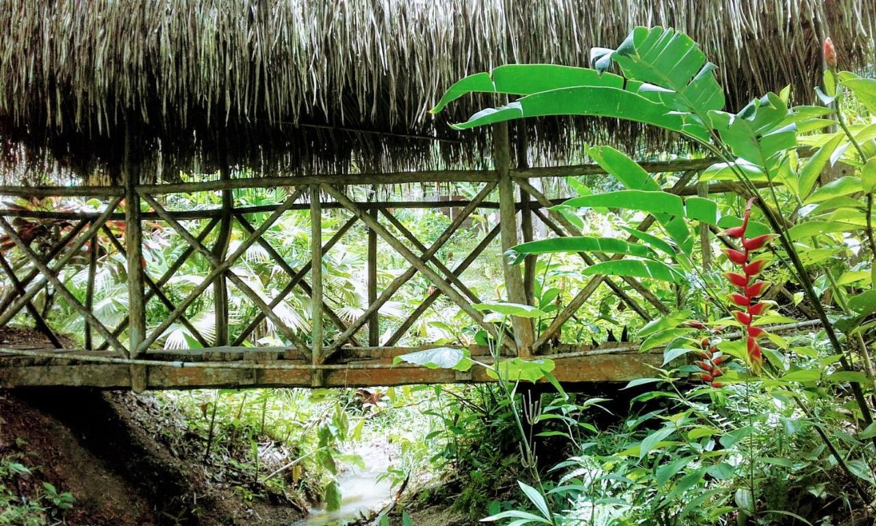 Sun Creek Lodge Punta Gorda Ngoại thất bức ảnh