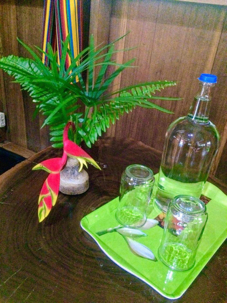Sun Creek Lodge Punta Gorda Ngoại thất bức ảnh
